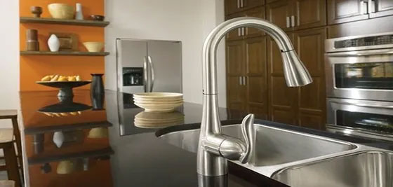 Moen Kitchen sink